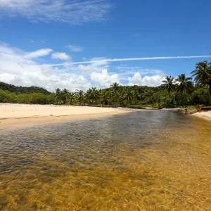 praia-de-jeribucacu (3)