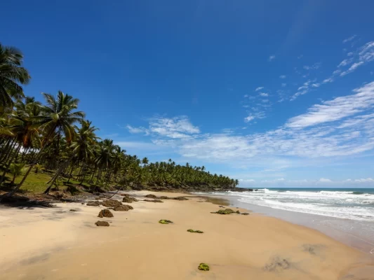 praia-de-jeribucacu